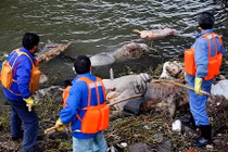 Ảnh môi trường ô nhiễm khiến ai cũng sửng sốt (2)