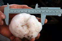 Hãi hùng mưa đá to như quả bóng chày ở Mỹ