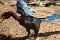 Sự thật kinh ngạc về khủng long ít ai biết