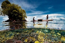 Cuộc sống đầy màu sắc dưới biển xanh sâu thẳm (2)