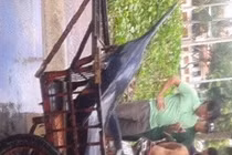 Câu được cá thu khổng lồ 175kg ở Côn Đảo