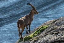 Chùm ảnh đẹp tuyệt mỹ về thiên nhiên hoang dã