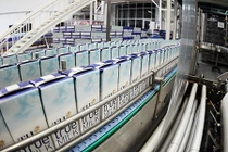 Trang trại bò sữa Việt Nam đạt kỷ lục Châu Á