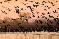 Những hiện tượng thiên nhiên kỳ thú vào mùa xuân