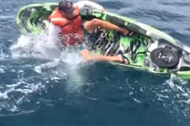 Hãi hùng cá mập tấn công người đang chèo thuyền