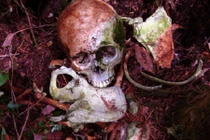 Kinh dị khu rừng hàng ngàn người tìm vào tự sát