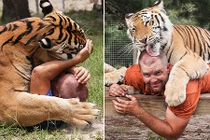 Rùng mình người đàn ông ăn ngủ với hổ dữ mỗi ngày