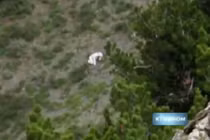 Rộ tin “quái vật người dê” bí ẩn xuất hiện