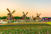 Mê mẩn vườn hoa đẹp như cổ tích giữa lòng sa mạc