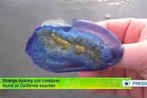 Đau đầu những hiện tượng kỳ lạ không thể giải thích (2)