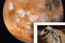 Xôn xao phát hiện hóa thạch khủng long trên sao Hỏa