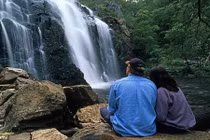 Cô gái muốn kết hôn với bố ruột