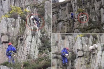 Giải cứu cừu mắc kẹt trên vách đá dựng đứng