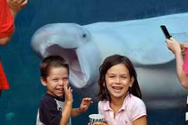 Ngắm động vật dễ thương theo trào lưu ảnh “chụp ké” photobomb