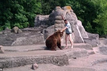 Thót tim cảnh tay không đánh gấu của anh chàng bá đạo