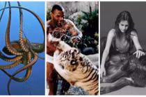 Top thú cưng “hàng khủng” của sao ngoại