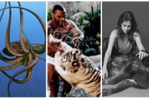 Top thú cưng “hàng khủng” của sao ngoại