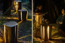 Cây gỗ kỳ lạ phát sáng trong đêm ma quái