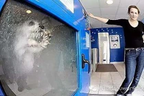 Những phát minh kỳ quặc ai xem cũng tròn mắt kinh ngạc