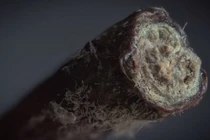 Ảnh siêu cận cảnh các đồ vật hàng ngày nhìn lạ hoắc