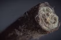 Ảnh siêu cận cảnh các đồ vật hàng ngày nhìn lạ hoắc