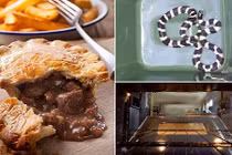 Kinh hãi phát hiện rắn trong lò nướng