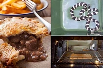 Kinh hãi phát hiện rắn trong lò nướng