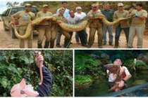 Những động vật khổng lồ khó tin nhất hành tinh (2)