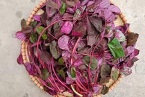  Loại rau "nhà nghèo" tốt ngang thịt bò, được gọi là rau trường thọ