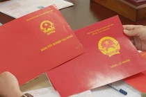 Loạt cán bộ dùng bằng giả bị xử lý