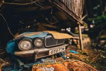 Nhà thám hiểm tìm thấy 50 chiếc xe cổ giấu giữa rừng