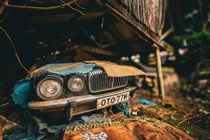 Nhà thám hiểm tìm thấy 50 chiếc xe cổ giấu giữa rừng