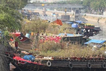 Có gì mới ở chợ hoa Xuân 'trên bến dưới thuyền' năm 2024?