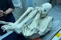 2 xác ướp "người ngoài hành tinh" từ Peru đang gây tranh cãi