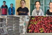 Thanh Hóa: Triệt phá đường dây mua bán vật liệu nổ quy mô lớn