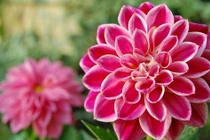 Sau Rằm tháng Giêng, 3 con giáp gặp quý nhân, hưởng lộc vàng