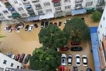 Thái Nguyên: Nhiều nơi chìm trong biển nước, hàng loạt ô tô ngập sâu