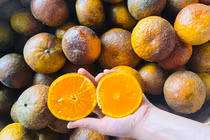 Trái cây không ăn cùng 5 thực phẩm này để tránh rắc rối 