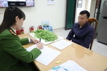 Trồng bao nhiêu cây thuốc phiện thì bị xử lý hình sự?