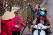 Không khí lạnh sắp tràn về, 29 Tết miền Bắc rét đến mức nào?