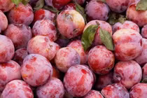 4 tác hại nếu ăn quá nhiều mận