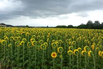 Ngỡ ngàng những khoảnh khắc “ngàn năm có một” trong cuộc sống