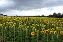 Ngỡ ngàng những khoảnh khắc “ngàn năm có một” trong cuộc sống