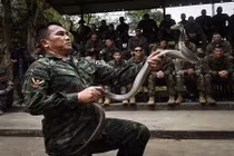 Binh sĩ Mỹ thi uống máu rắn trong tập trận Hổ mang Vàng