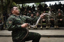 Binh sĩ Mỹ thi uống máu rắn trong tập trận Hổ mang Vàng