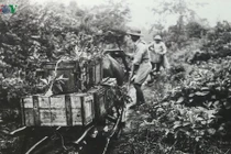 Sức mạnh hậu cần của ta trong Chiến dịch Điện Biên Phủ