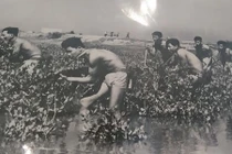 Bất ngờ chiến công của Đặc công Hải quân Việt Nam trong chiến tranh