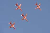 Nhào lộn trên không, hai máy bay Ấn Độ đâm vào nhau