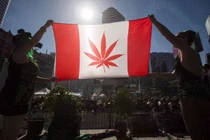 Vượt mặt Mỹ, Canada hợp pháp hóa cần sa từ tháng 10