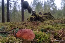 Không tưởng cách xe tăng Nga thoát khỏi “mắt thần” của Mỹ